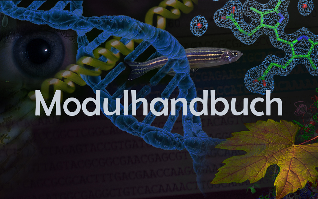 Modulhandbuch